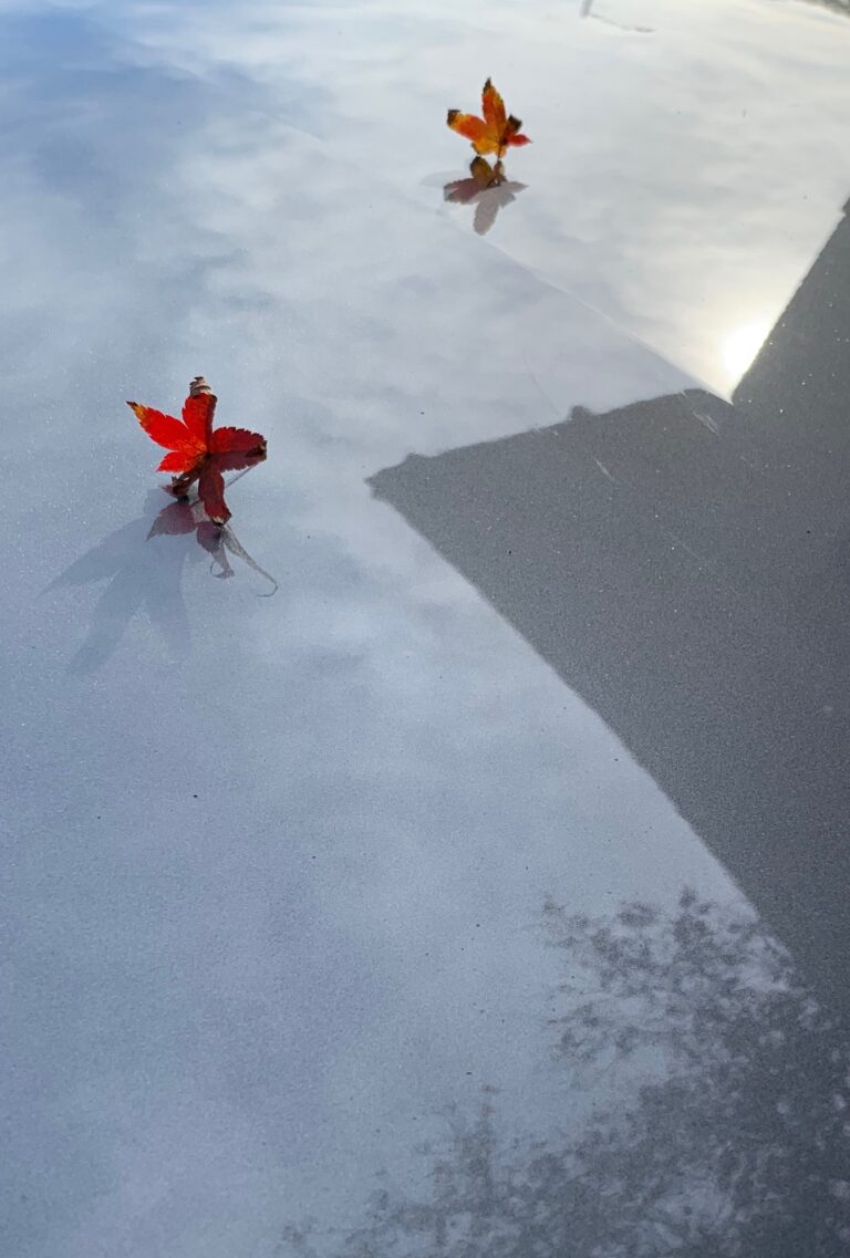 踏出助人的第一步