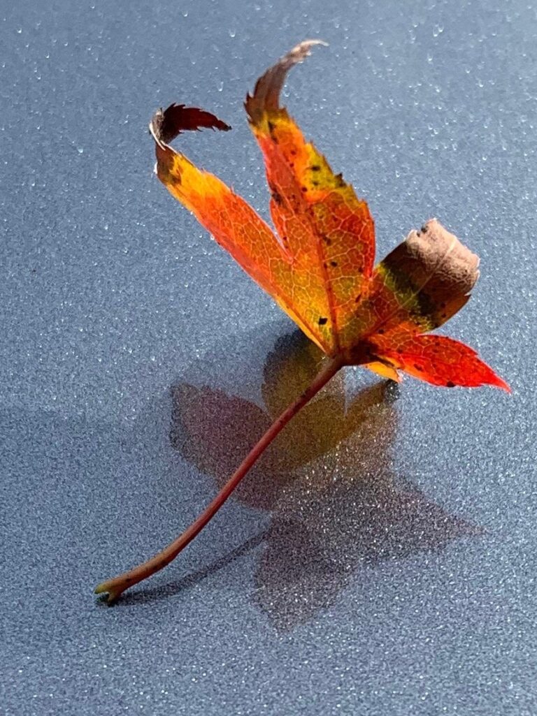 分享给找不到人治疗的同学们