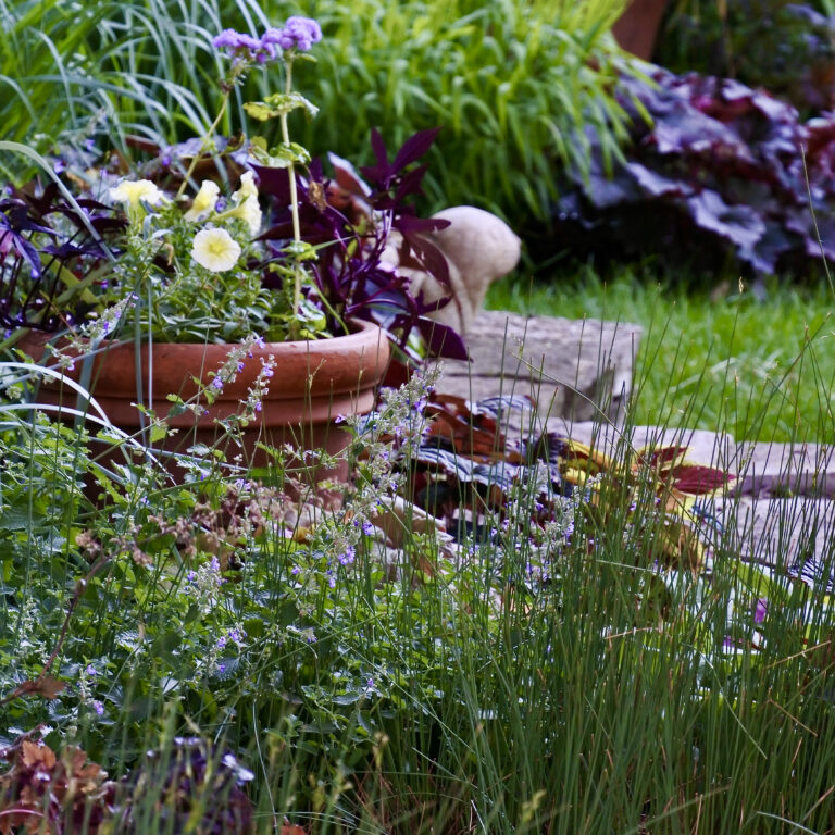 My beautiful life with cancer, teaching, gardening, and Qi Gong